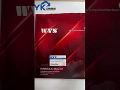 Transmission Seal Kit 4143 298 009  For 2HL100 Excavator parts