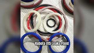 Kubota U15 Swing Motor Seal Kit Fix Leaks