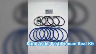 Doosan Swing Motor Seal Kit 2401 6250K Repair Solution